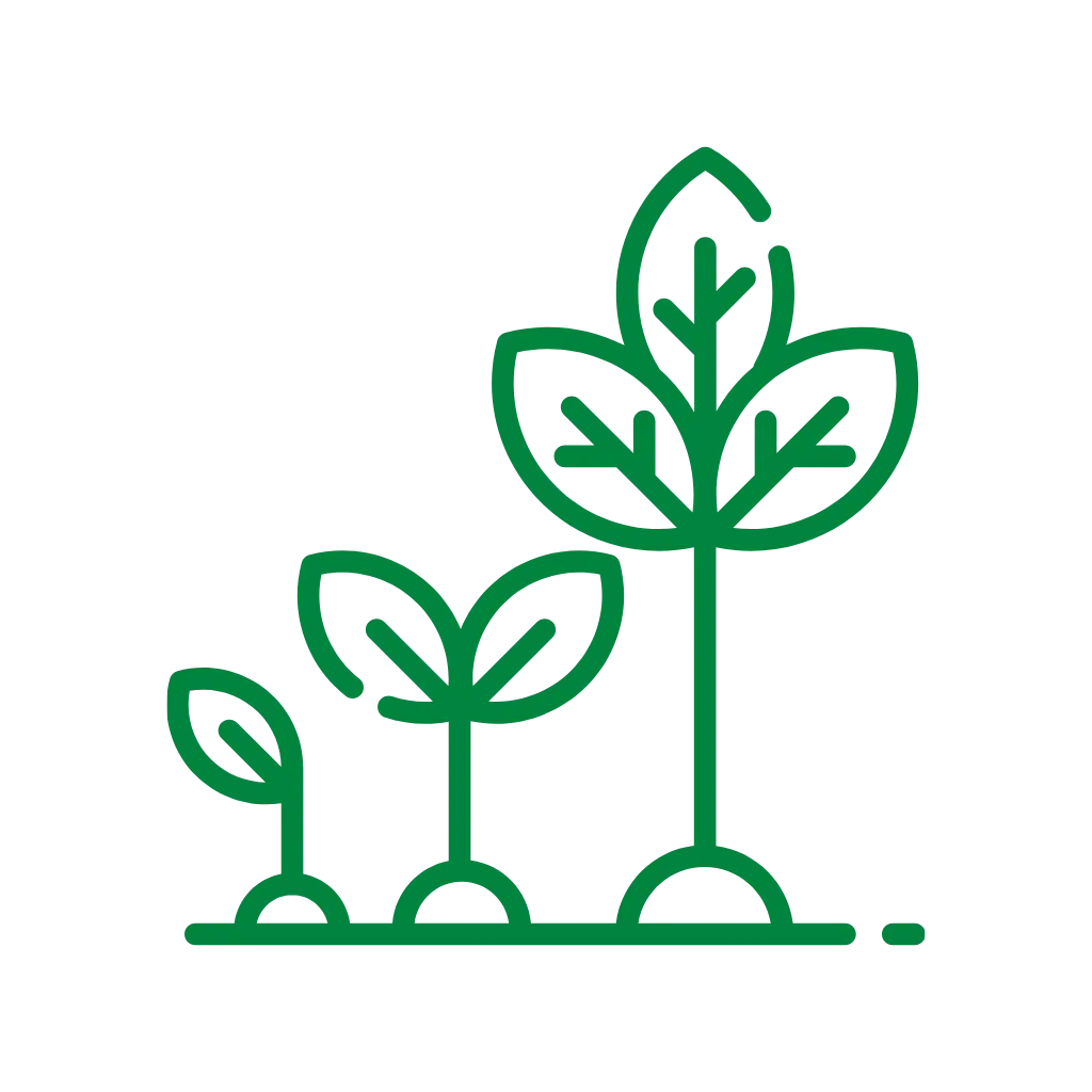 Designed for Growth
